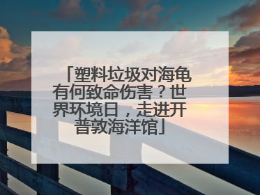 塑料垃圾对海龟有何致命伤害？世界环境日，走进开普敦海洋馆