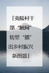 夷陵村干部“触网”转型“播”出乡村振兴新图景