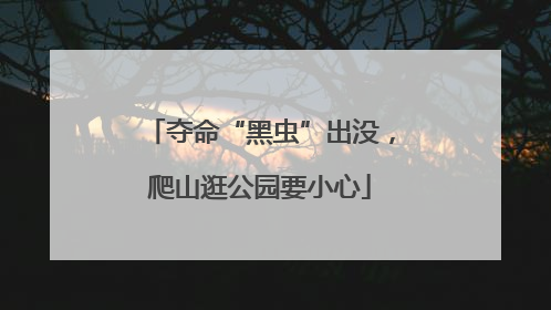 夺命“黑虫”出没，爬山逛公园要小心