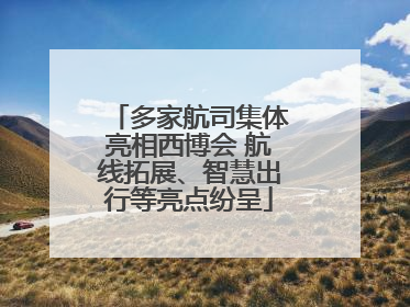多家航司集体亮相西博会 航线拓展、智慧出行等亮点纷呈