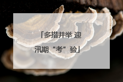 多措并举 迎汛期“考”验