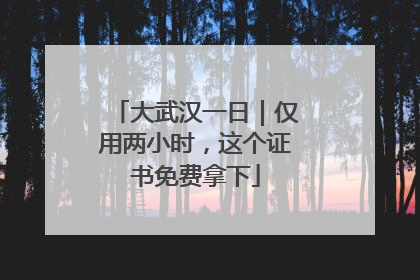 大武汉一日｜仅用两小时，这个证书免费拿下