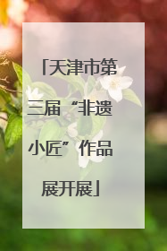 天津市第三届“非遗小匠”作品展开展