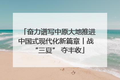 奋力谱写中原大地推进中国式现代化新篇章丨战“三夏” 夺丰收