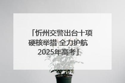 忻州交警出台十项硬核举措 全力护航2025年高考