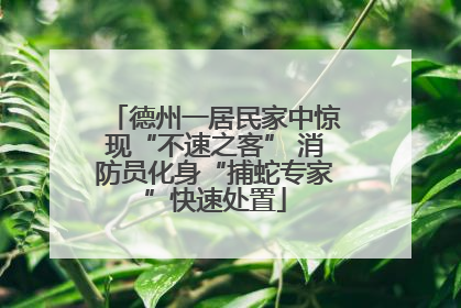 德州一居民家中惊现“不速之客” 消防员化身“捕蛇专家”快速处置