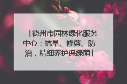 德州市园林绿化服务中心：抗旱、修剪、防治，精细养护保绿荫