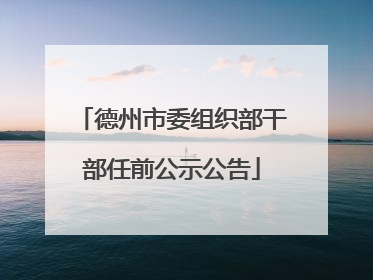 德州市委组织部干部任前公示公告