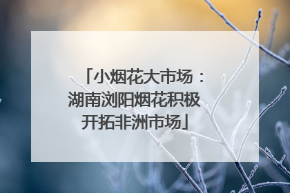 小烟花大市场：湖南浏阳烟花积极开拓非洲市场