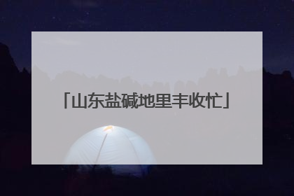 山东盐碱地里丰收忙