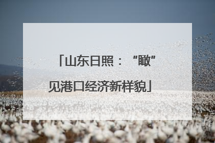 山东日照：“瞰”见港口经济新样貌
