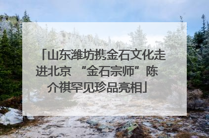 山东潍坊携金石文化走进北京 “金石宗师”陈介祺罕见珍品亮相