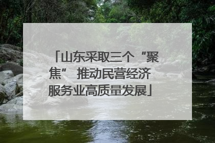 山东采取三个“聚焦” 推动民营经济服务业高质量发展