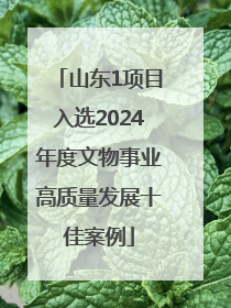 山东1项目入选2024年度文物事业高质量发展十佳案例