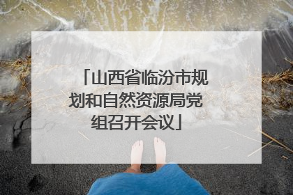 山西省临汾市规划和自然资源局党组召开会议