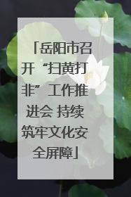 岳阳市召开“扫黄打非”工作推进会 持续筑牢文化安全屏障