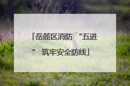 岳麓区消防 “五进” 筑牢安全防线
