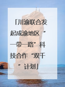 川渝联合发起成渝地区“一带一路”科技合作“双千”计划