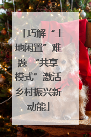 巧解“土地闲置”难题 “共享模式”激活乡村振兴新动能