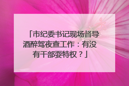 市纪委书记现场督导酒醉驾夜查工作：有没有干部耍特权？