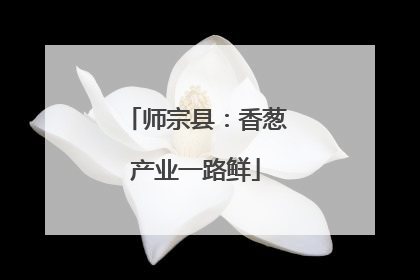 师宗县：香葱产业一路鲜