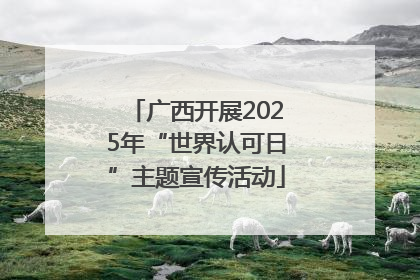 广西开展2025年“世界认可日”主题宣传活动