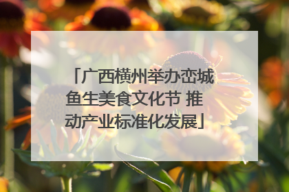 广西横州举办峦城鱼生美食文化节 推动产业标准化发展