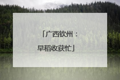 广西钦州：早稻收获忙