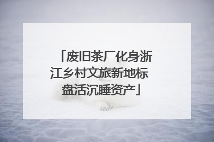 废旧茶厂化身浙江乡村文旅新地标 盘活沉睡资产