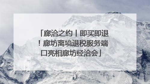 廊洽之约丨即买即退！廊坊离境退税服务端口亮相廊坊经洽会