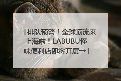 排队预警！全球顶流来上海啦！LABUBU怪味便利店即将开展→