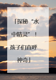探秘“水中精灵”！孩子们直呼神奇