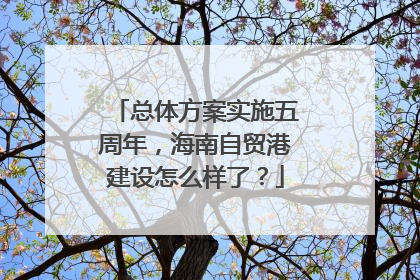 总体方案实施五周年，海南自贸港建设怎么样了？