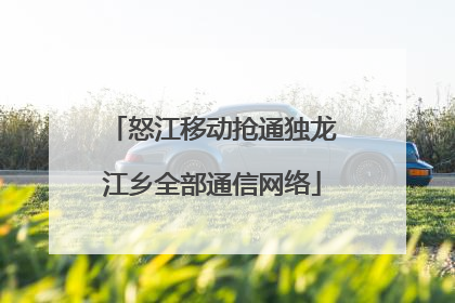怒江移动抢通独龙江乡全部通信网络