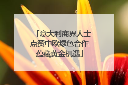 意大利商界人士点赞中欧绿色合作蕴藏黄金机遇