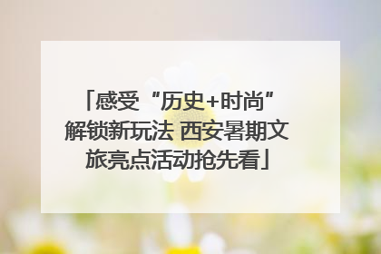 感受“历史+时尚” 解锁新玩法 西安暑期文旅亮点活动抢先看