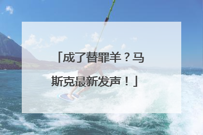 成了替罪羊？马斯克最新发声！