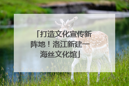 打造文化宣传新阵地！洛江新建一海丝文化馆