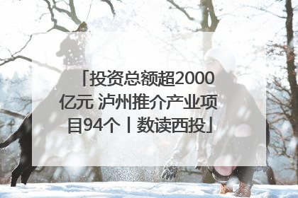 投资总额超2000亿元 泸州推介产业项目94个丨数读西投