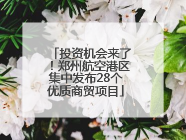 投资机会来了！郑州航空港区集中发布28个优质商贸项目