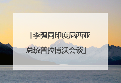 李强同印度尼西亚总统普拉博沃会谈