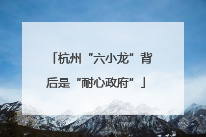杭州“六小龙”背后是“耐心政府”