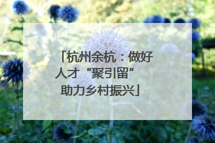杭州余杭：做好人才“聚引留” 助力乡村振兴