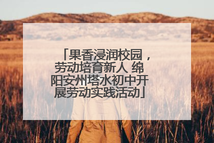 果香浸润校园，劳动培育新人 绵阳安州塔水初中开展劳动实践活动