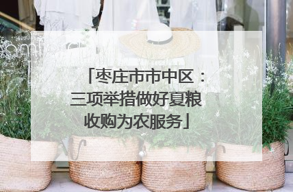 枣庄市市中区：三项举措做好夏粮收购为农服务