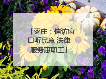 枣庄：信访窗口听民意 法律服务惠职工