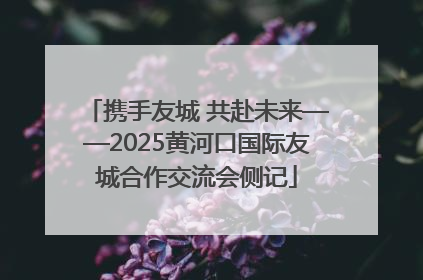携手友城 共赴未来——2025黄河口国际友城合作交流会侧记