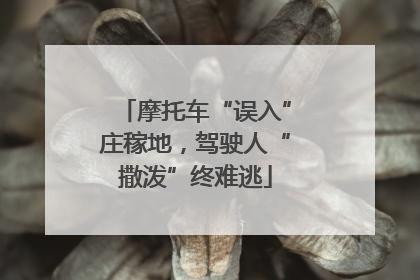 摩托车“误入”庄稼地，驾驶人“撒泼”终难逃