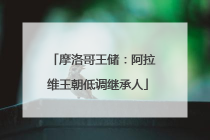 摩洛哥王储：阿拉维王朝低调继承人
