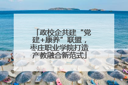 政校企共建“党建+康养”联盟，枣庄职业学院打造产教融合新范式
